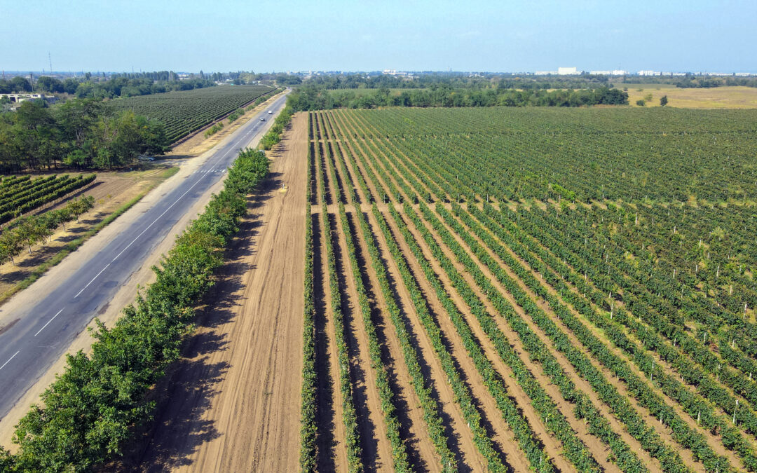 Farming Projects