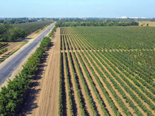 Farming Projects