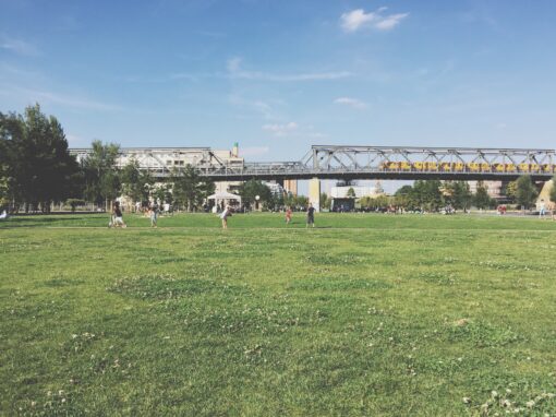 Soccer Field Mantserre